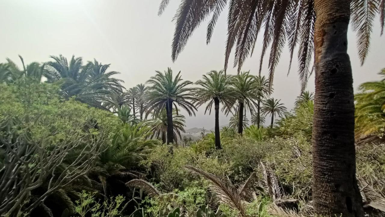 Alquilaencanarias Casa La Playa La Gomera Alojera Buitenkant foto